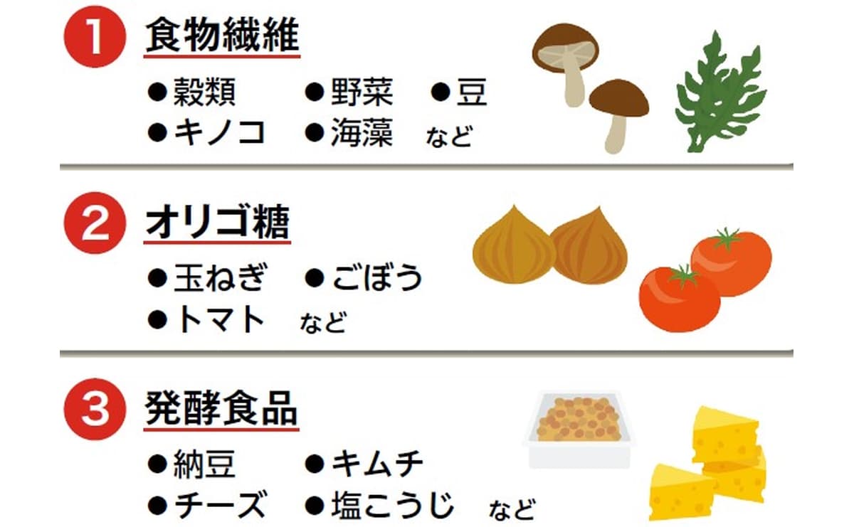 腸内環境を整える食事