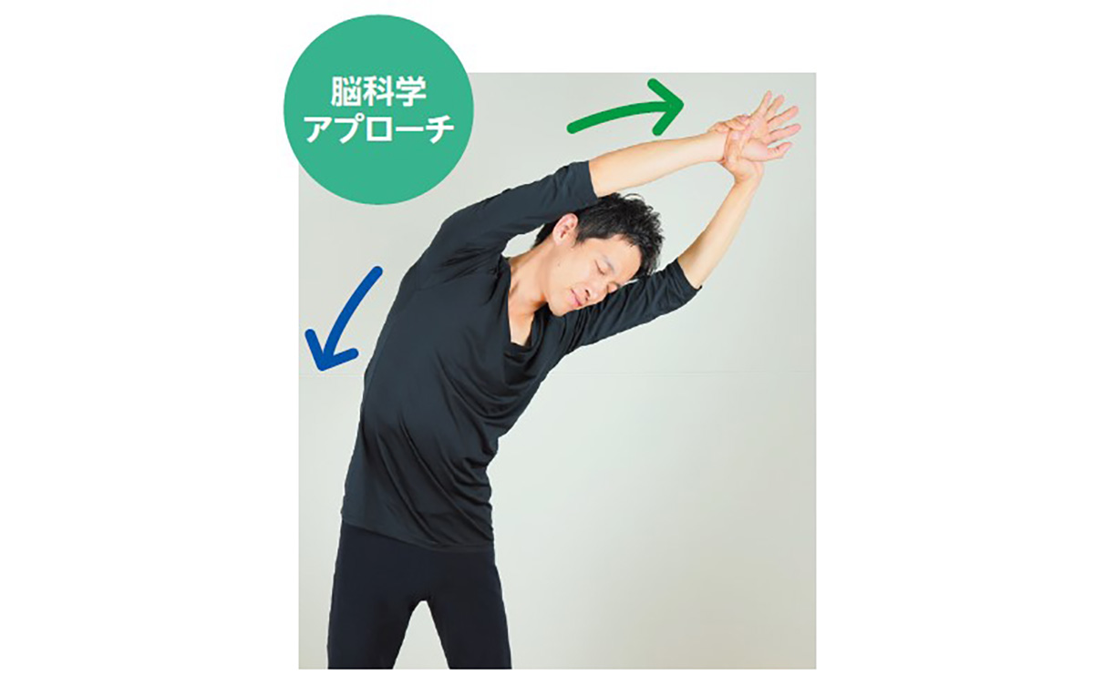 脳科学アプローチ
