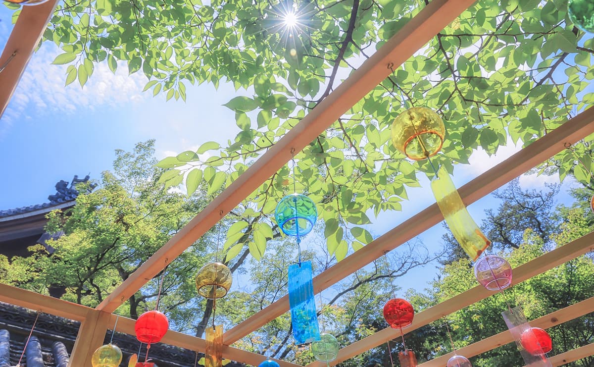 夏の風景