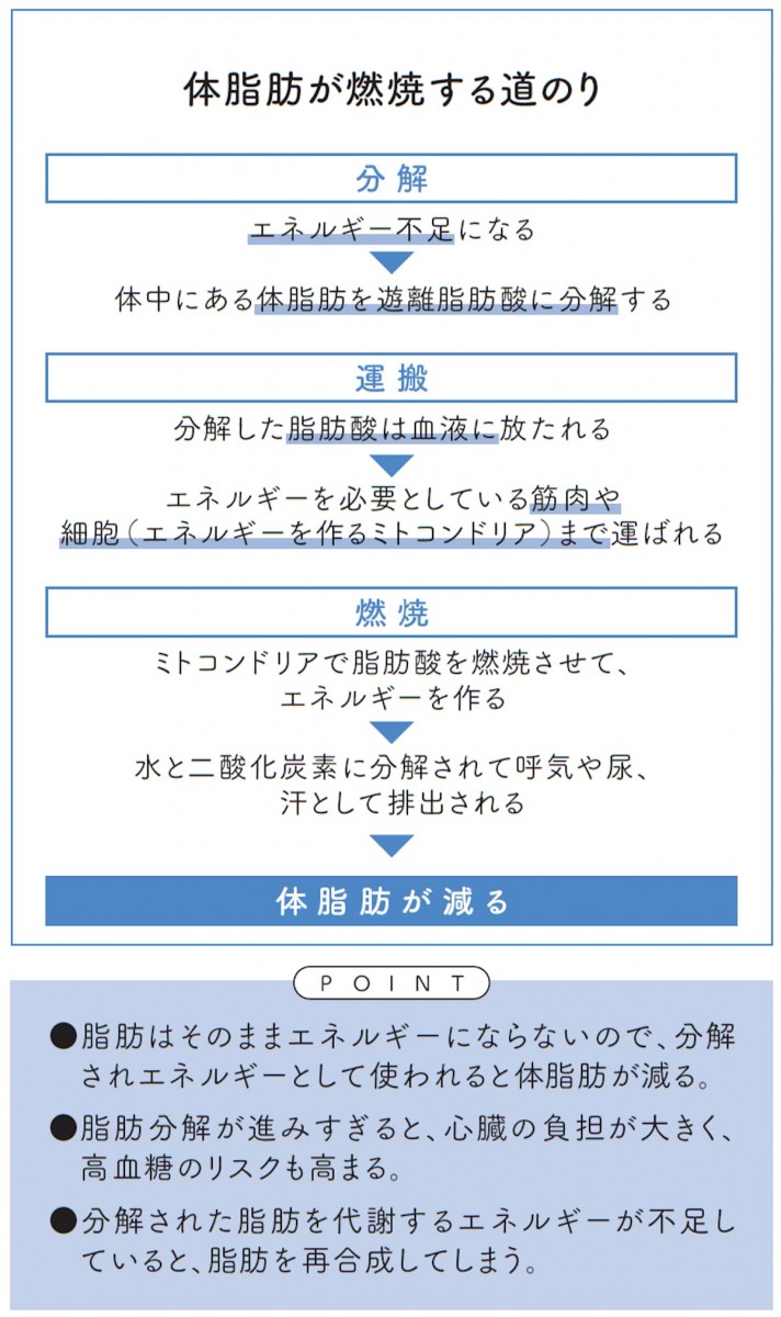 体脂肪が燃焼する道のり