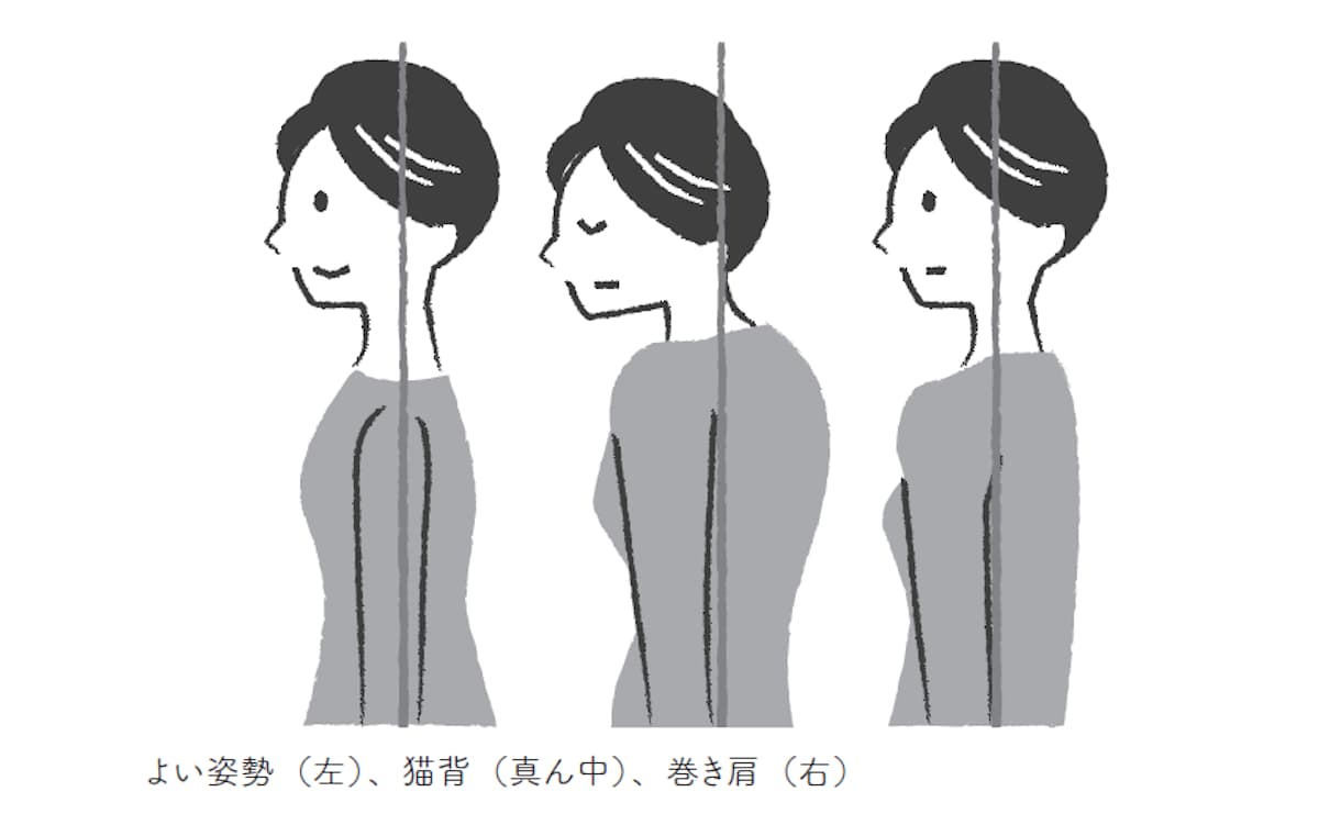 よい姿勢(左)、猫背(真ん中)、巻き肩(右)